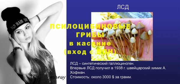 стаф Кодинск