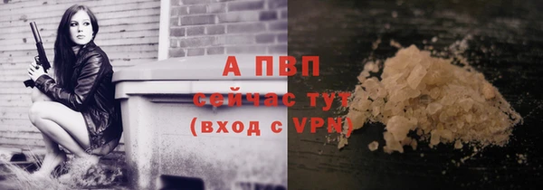 ECSTASY Козловка