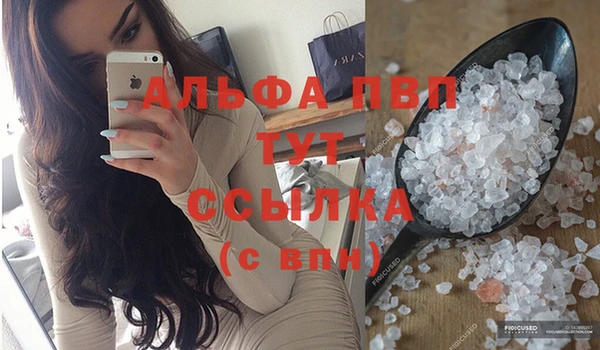 стаф Кодинск