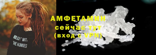 стаф Кодинск