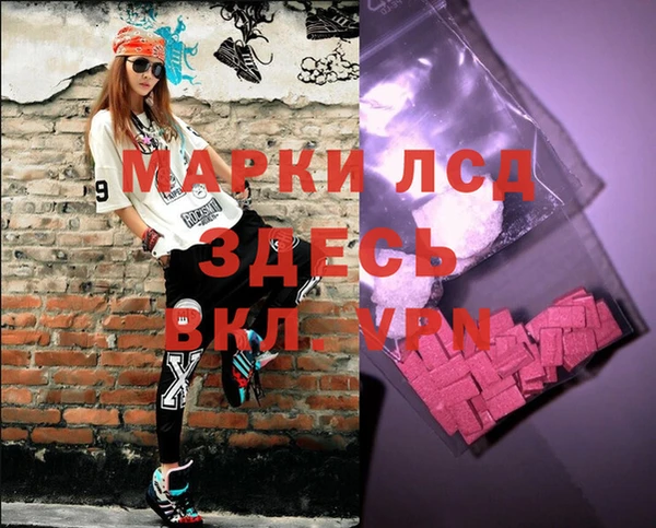 стаф Кодинск