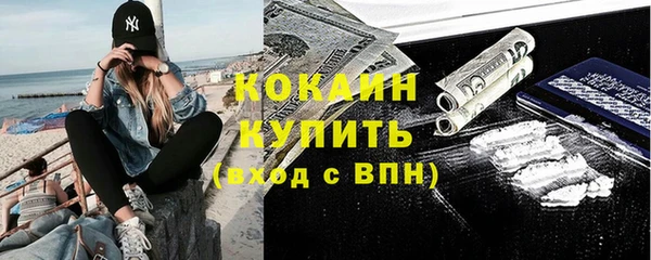стаф Кодинск