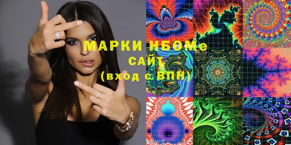 стаф Кодинск