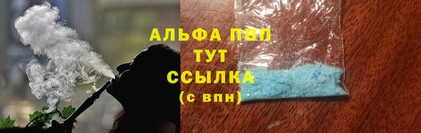 стаф Кодинск