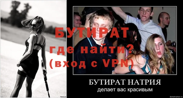 стаф Кодинск
