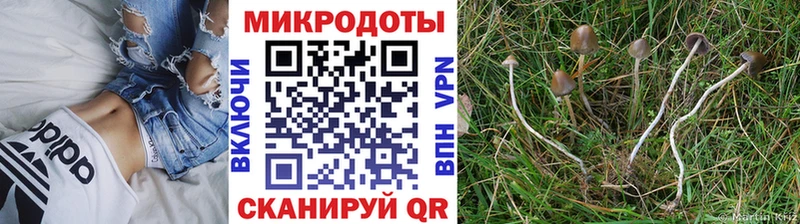 Галлюциногенные грибы мицелий Куса